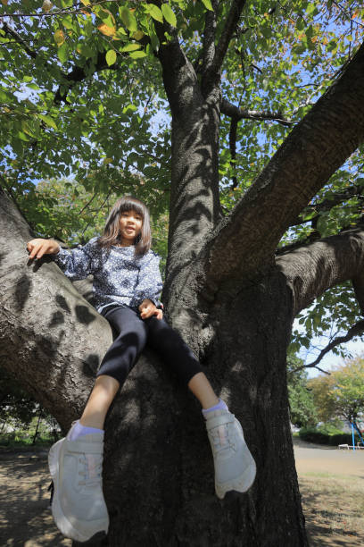 istock Japanese student girl climbing the tree (8 years old) 1440902586