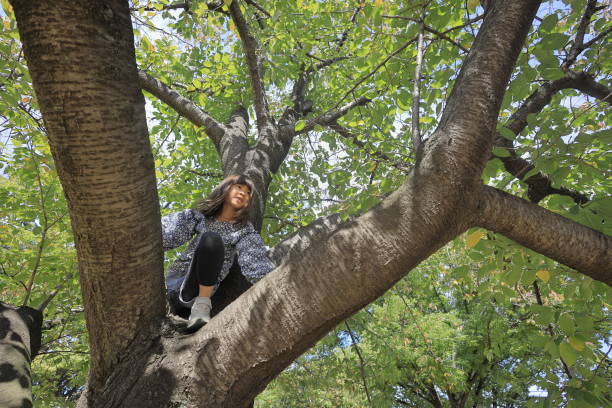 istock Japanese student girl climbing the tree (8 years old) 1440902608