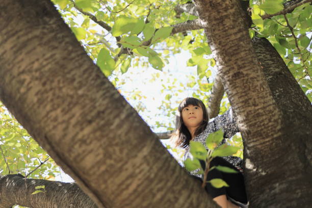 istock Japanese student girl climbing the tree (8 years old) 1440902610