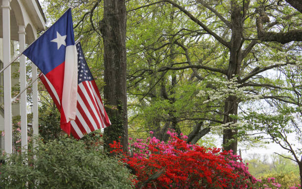 selektywne skupienie flag teksasu i usa przed domem podczas dnia niepodległości w usa - texas state flag zdjęcia i obrazy z banku zdjęć