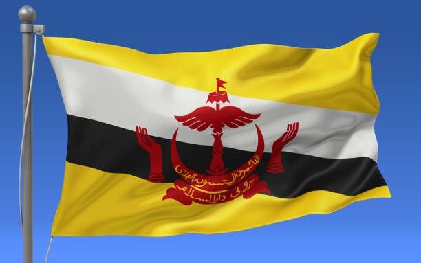 旗竿にブルネイの旗 - brunei flag ストックフォトと画像