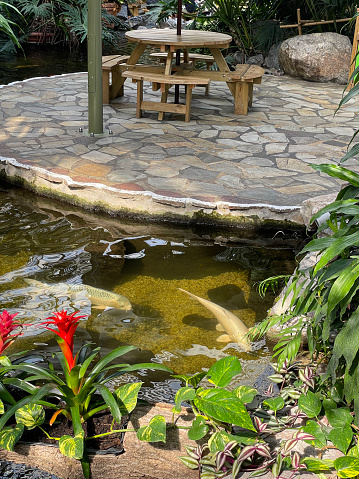 Photo showing a circular patio in a water garden, with round wooden picnic table / garden furniture surrounded by a garden pond stream with crystal clear water. The water feature is edged with tropical planting, such as yucca plants and bromeliad flowers, while goldfish and koi carp can be seen swimming in the pond, next to the crazy paving slabs.