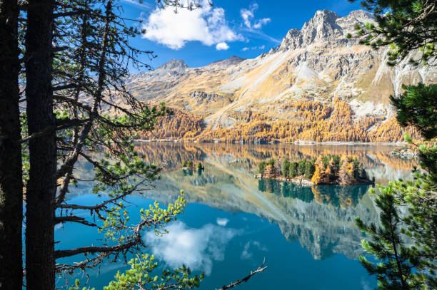 majestatyczny jesienny widok na jezioro sils w dolinie engadyny, szwajcaria - engadine zdjęcia i obrazy z banku zdjęć
