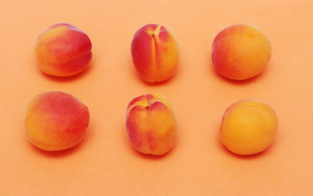 istock Ripe apricots on an orange background. 1440911739