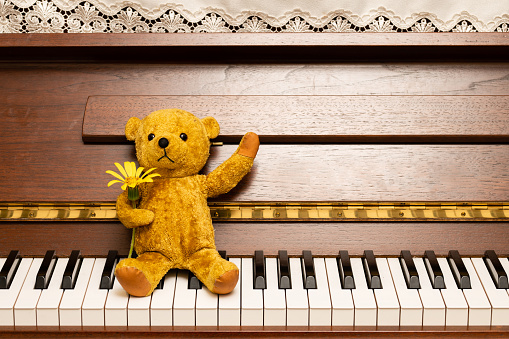 Teddy bear with flowers sitting on the piano