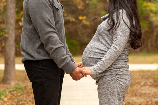 Pregnant Couple Holding Hands At The Park