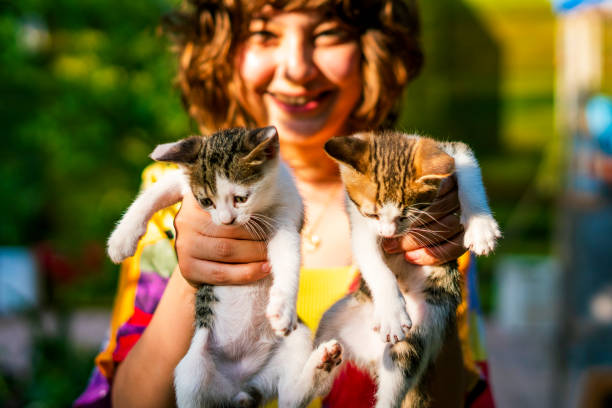 istock A woman holding kittens 1440916139
