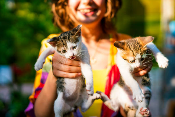 istock A woman holding kittens 1440916145