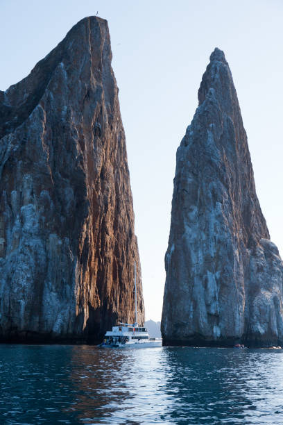 galapagos nature in its purest form