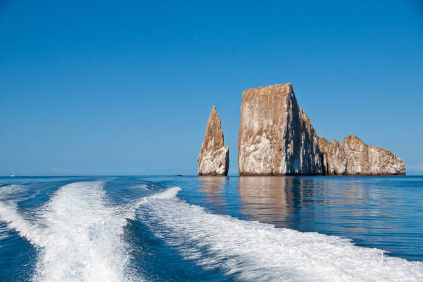 galapagos nature in its purest form