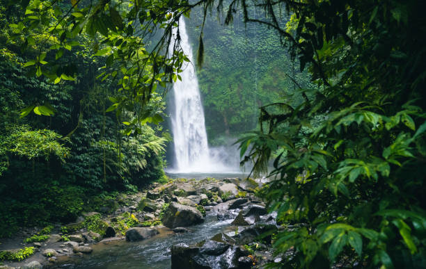 istock Beautiful waterfall with tropical rainforest in Bali 1440919171