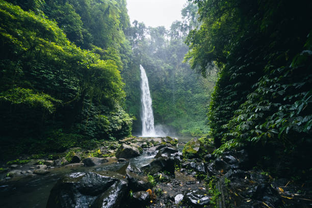 istock Beautiful waterfall with tropical rainforest in Bali 1440919184