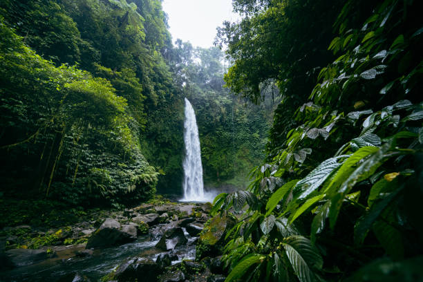 istock Beautiful waterfall with tropical rainforest in Bali 1440919219
