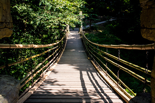 Bamboo pedestrian suspension bridge