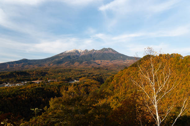 istock Autumn leaves forest and Mount Ontake 1440922953