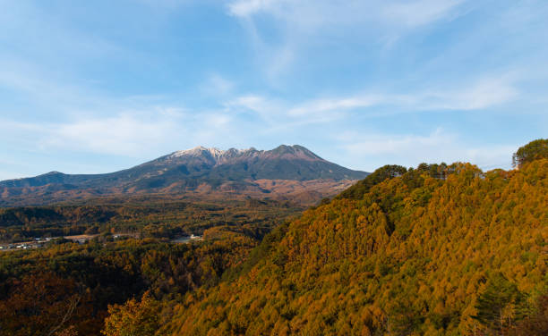 istock Autumn leaves forest and Mount Ontake 1440922965