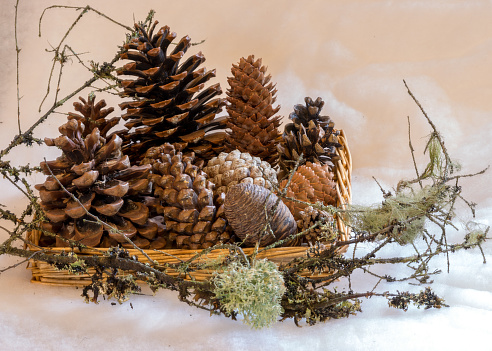 different shapes and types of cones in a wicker basket, preparing for Christmas, waiting for Christmas and home decorating concept