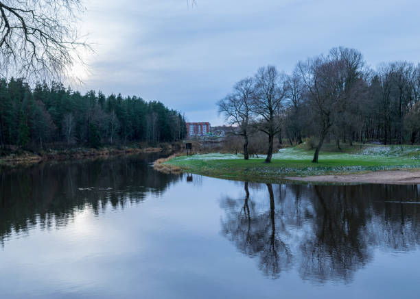 istock dark and bare tree silhouettes reflect in dark river water, late autumn, first snow on green grass, 1440925376