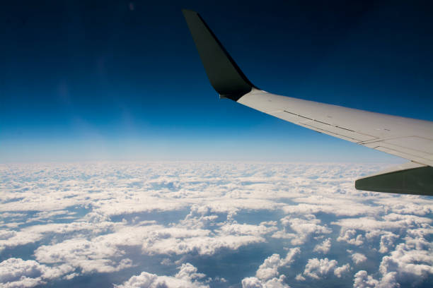 istock Wing of an airplane 1440925760