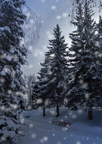 Magic evening winter landscape. Trees under the snow.
