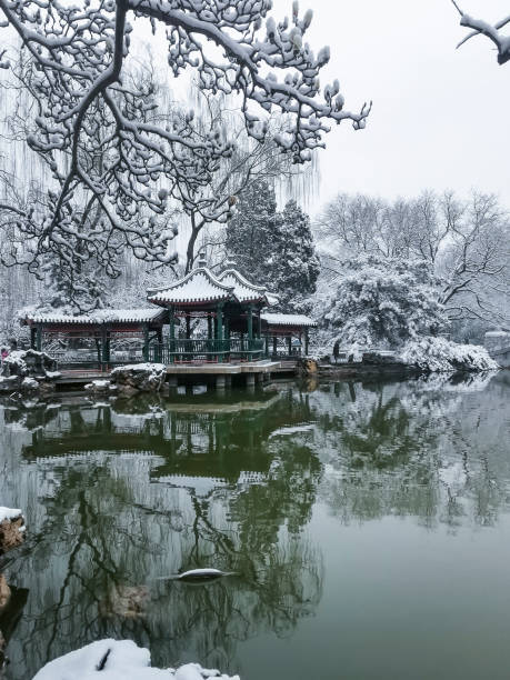 istock Snow in a public park 1440928591