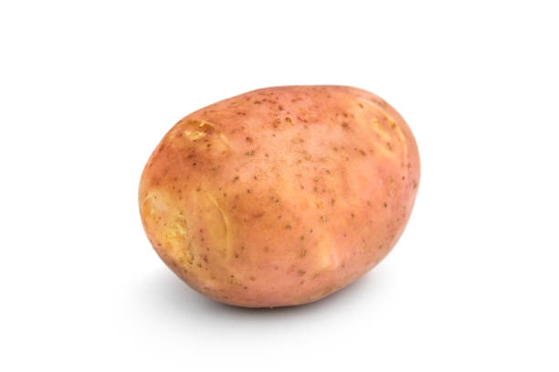 15 100+ Pomme De Terre Ronde Photos, taleaux et images libre de droits