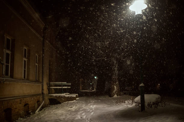 istock Footpath through the snowy night in Germany in winter 1440935249