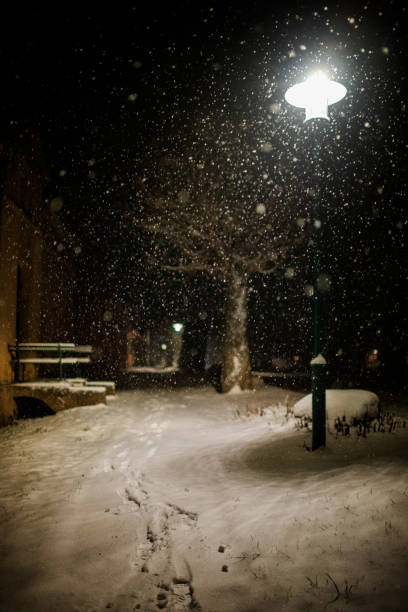 istock Footpath through the snowy night in Germany in winter 1440935303