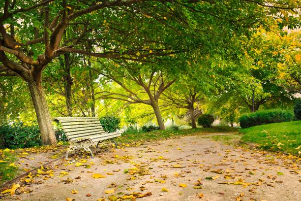 istock Autumn in the park. 1440936709