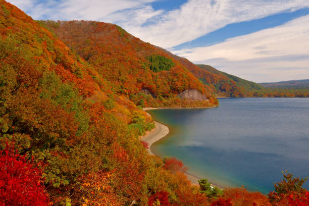 富士五湖の秋葉色:元洲湖