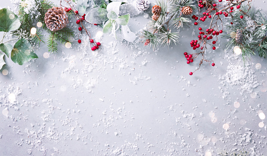 Flat lay composition with winter fir branches, pine cones, evergreen plants and berries on snowy background. Christmas and New year concept. Top view