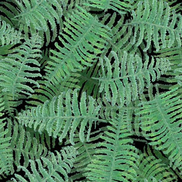 istock Seamless watercolor background with green fern branches 1440940338