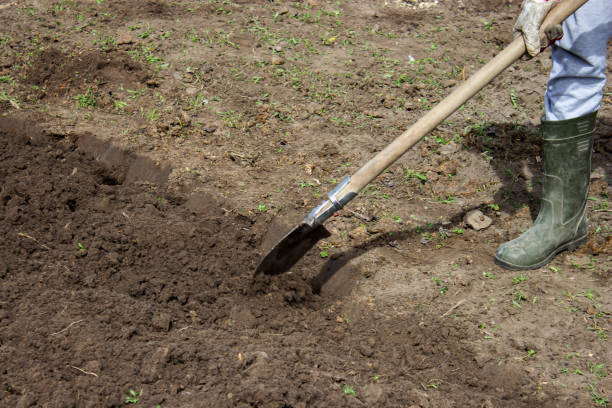 istock Farmer in rubber boots with garden tools in the garden, 1440942870