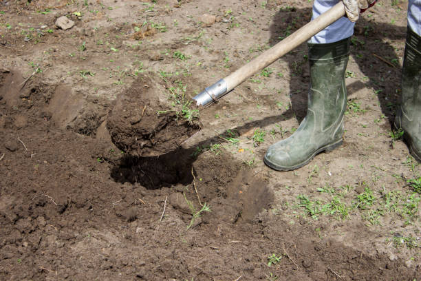 istock Farmer in rubber boots with garden tools in the garden, 1440942892