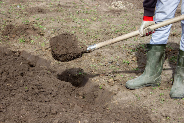 istock Farmer in rubber boots with garden tools in the garden, 1440942896