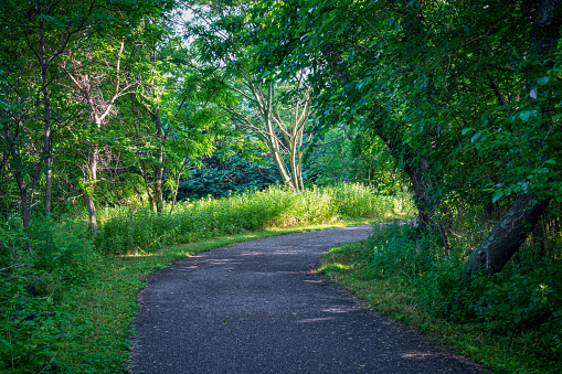 A Summer view along the Henry Hudson Trail in Monmouth County New Jersey.