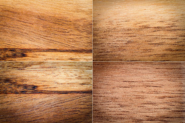 Collection of dark wood texture backgrounds with old natural patterns. Detail of wood textures. Old wooden boards.