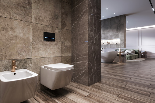 Modern open plan minimalist bathroom hotel room interior with vessel and bidet. Marable wall and parquet floor. Render.