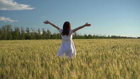 A young woman in a white dress walks on a green wheat field. The girl goes and raises her hands up. Back view. 4k