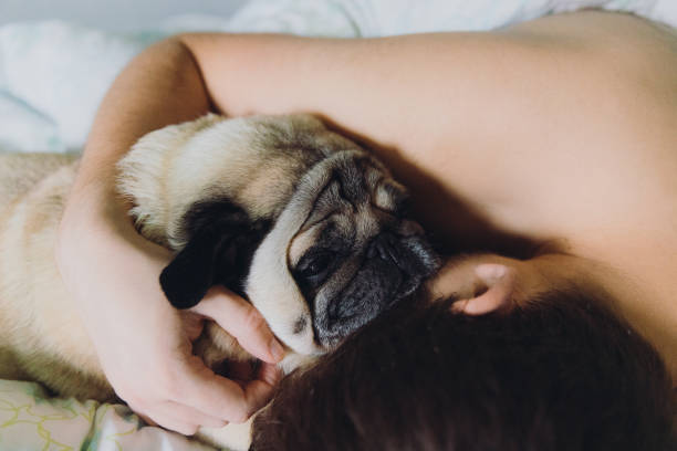 istock Cozy morning at home 1440949637