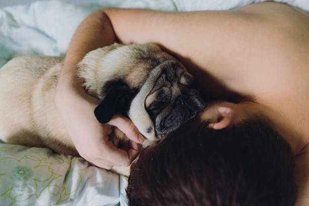 istock Cozy morning at home 1440949638