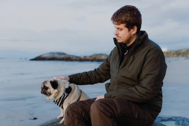 istock A man petting cute puf at the beach. during sunset 1440949720