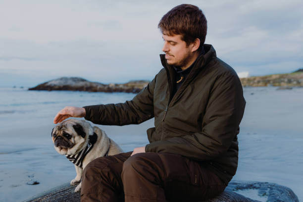 istock A man petting cute puf at the beach. during sunset 1440949722