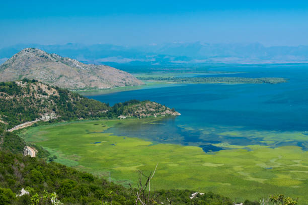 aussichtspunkt. schöne sommerlandschaft des skutarisees mit grünem und blauem wasser, berghügeln. klarer himmel. montenegro. - majestic awe canyon national park stock-fotos und bilder