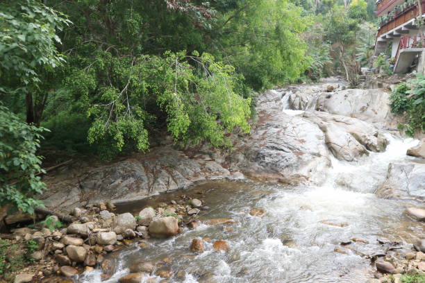 cachoeira e árvore na floresta e casa - bounce off - fotografias e filmes do acervo