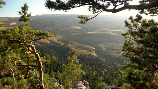 View from the cliff to high hills and forests through the trees. 4k