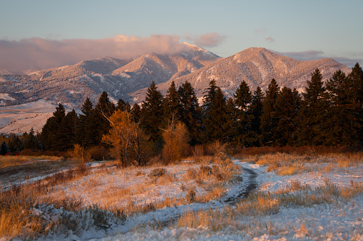 A trail leading to the bridger mountains, glowing in the sunset near Bozeman, Montana.