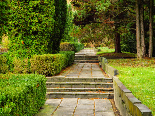 istock Walkway of concrete slabs among thuja and pine trees 1440958604