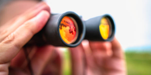 istock Close-up of person's hands holding binoculars with reflective lenses 1440959921