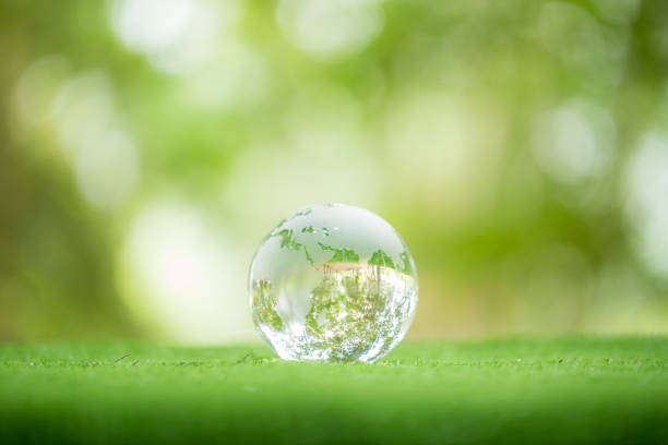 istock Close up of crystal globe resting on grass in a forest - environment concept. environmental, social, and governance in sustainable and ethical business on green background. 1440960537